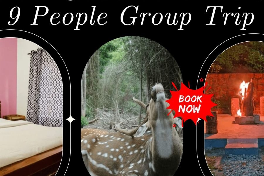 Into the Wild: Bangalore to Coorg Adventure Expedition