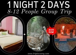 Crackling Moments: Coorg Campfire Special