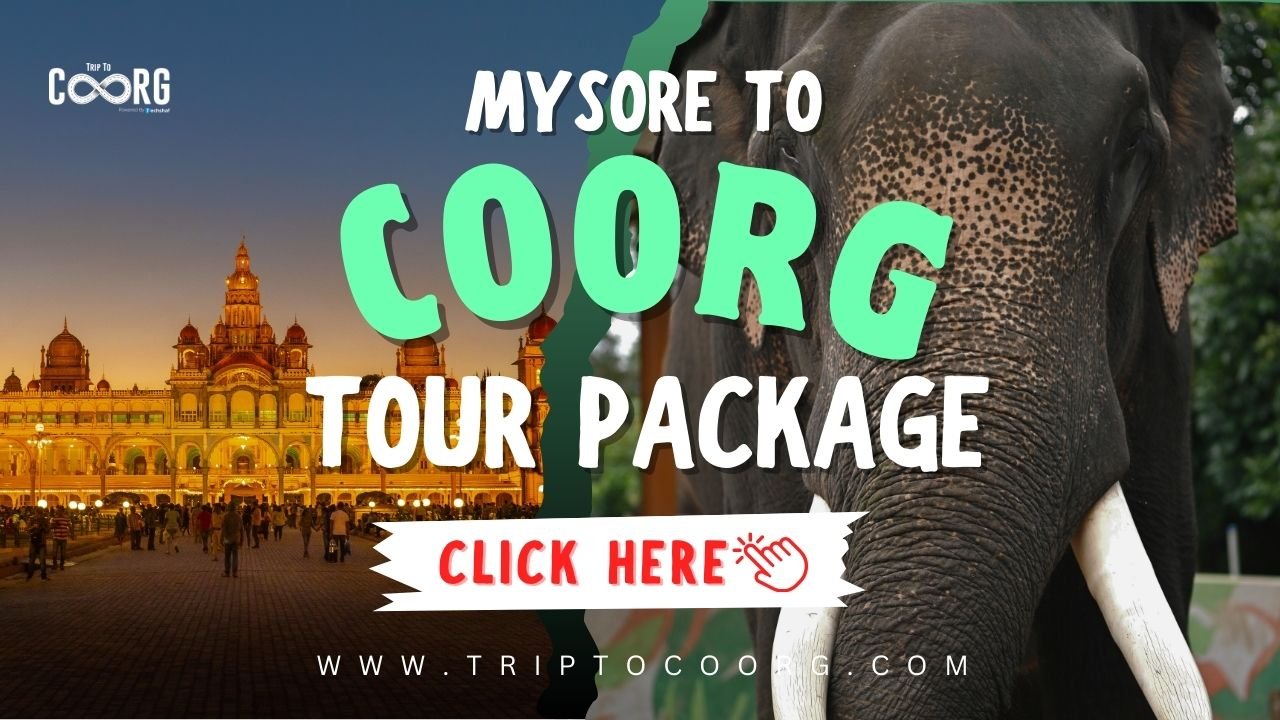 Mysore to Coorg tour package