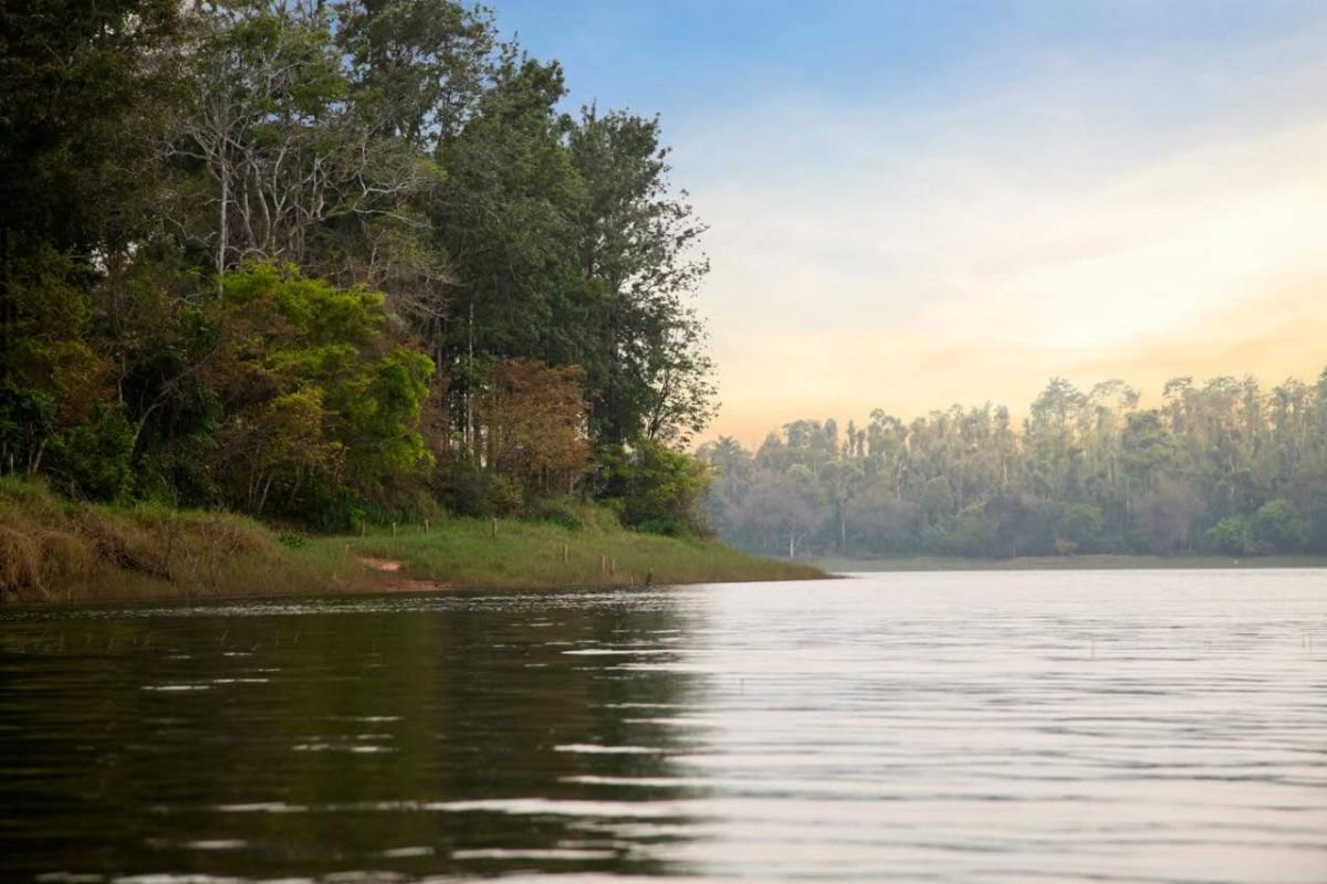 Tribal Valley Royal Vintage coorg estate stay