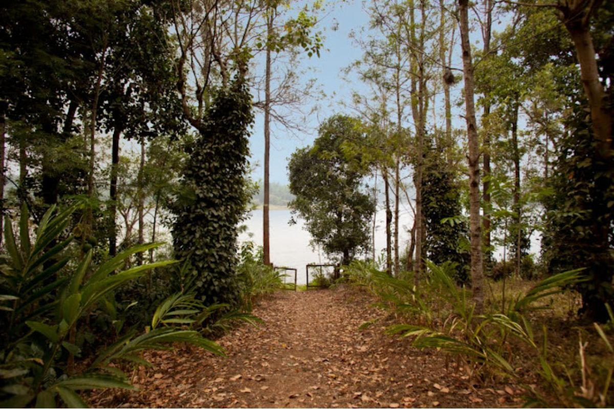Tribal Valley Royal Vintage coorg estate stay