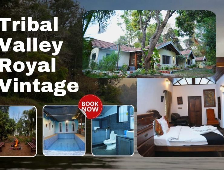 Tribal Valley – Royal Vintage