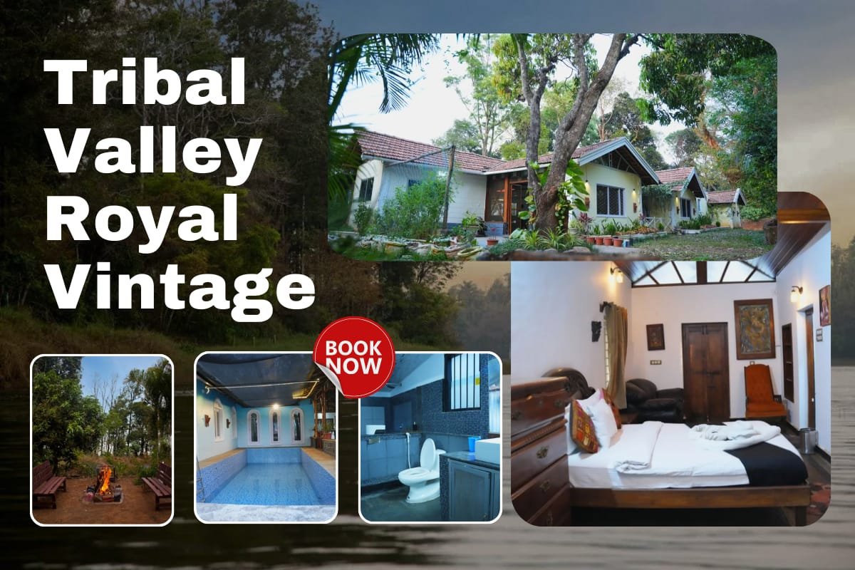 Tribal Valley – Royal Vintage
