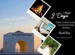 Wild Flames: Adventure & Campfire in Coorg