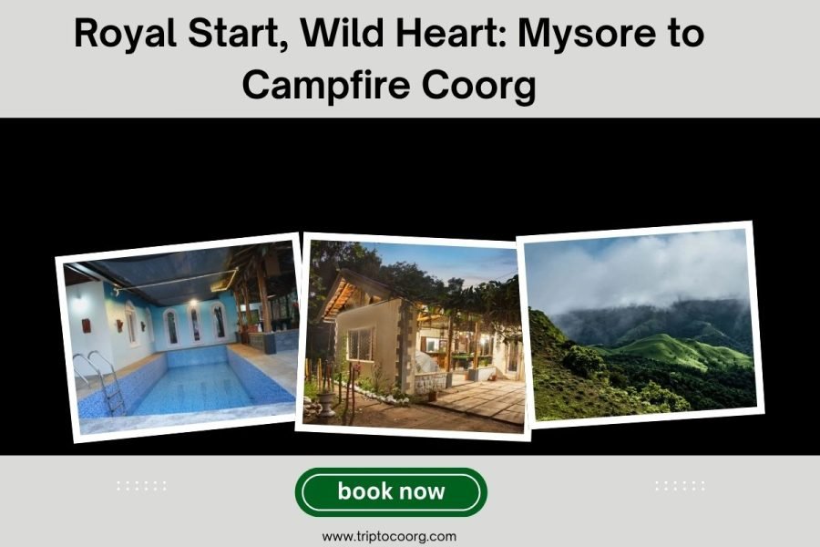 Royal Start, Wild Heart: Mysore to Campfire Coorg