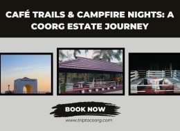 Cafe Trails & Campfire Nights: A Coorg Estate Journey