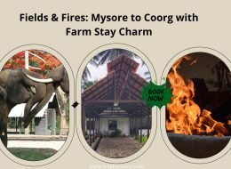Fields & Fires: Mysore to Coorg with Farm Stay Charm