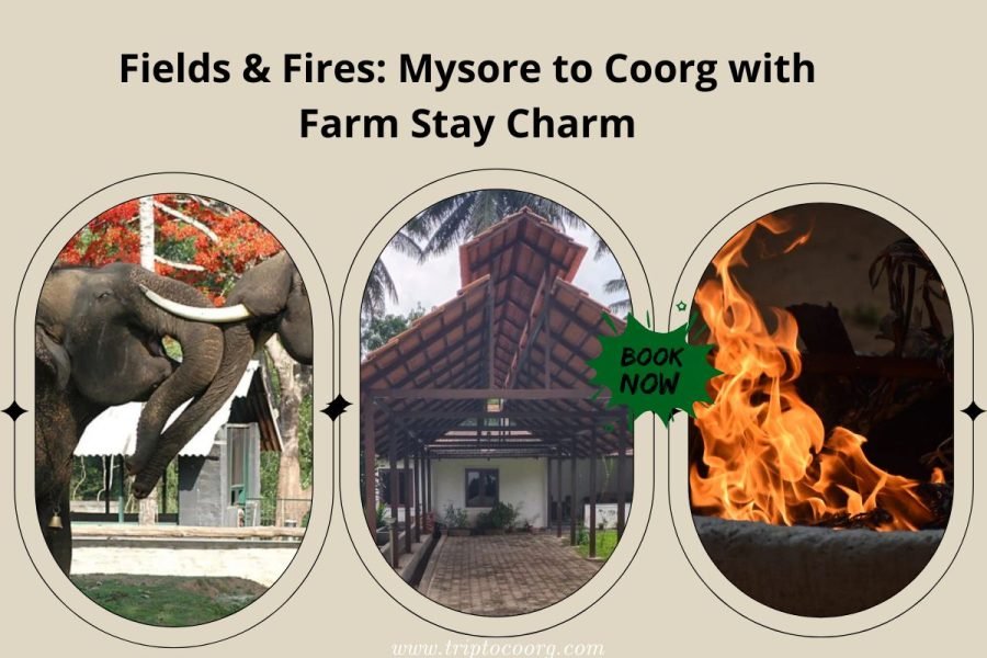 Fields & Fires: Mysore to Coorg with Farm Stay Charm