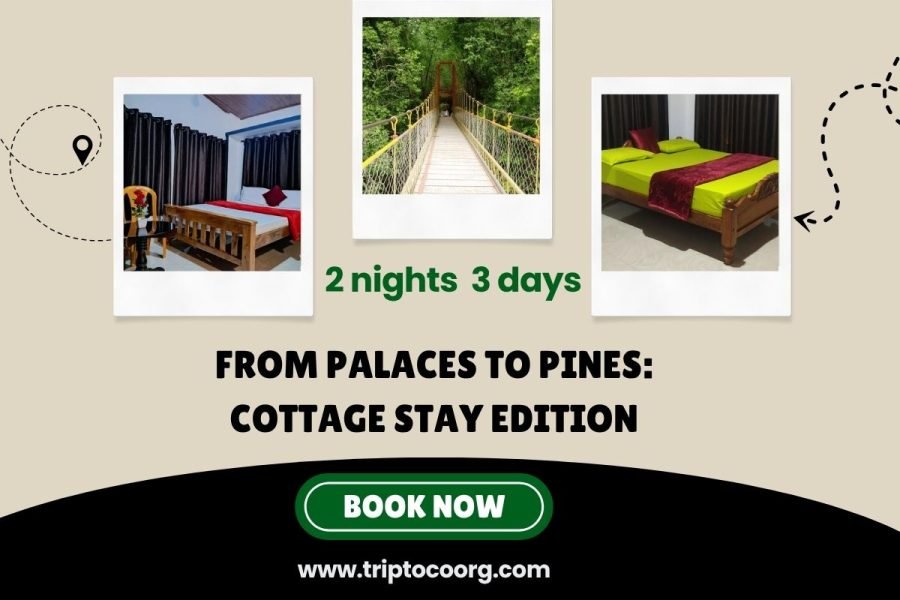 From Palaces to Pines: Cottage Stay Edition