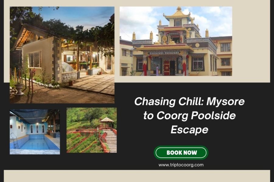 Chasing Chill: Mysore to Coorg Poolside Escape