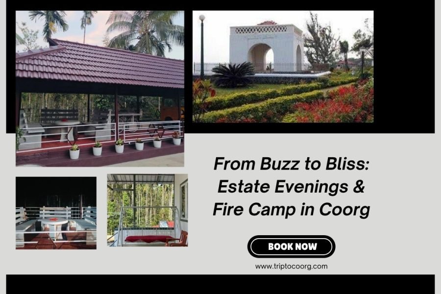 From Buzz to Bliss: Estate Evenings & Fire Camp in Coorg