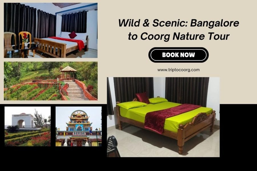 Wild & Scenic: Bangalore to Coorg Nature Tour