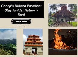 Coorg’s Hidden Paradise: Stay Amidst Nature’s Best