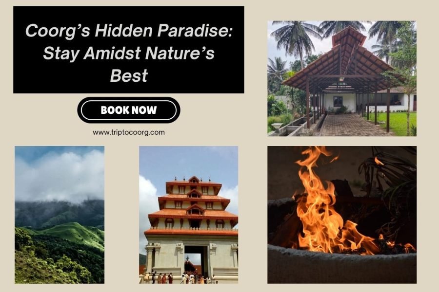 Coorg’s Hidden Paradise: Stay Amidst Nature’s Best