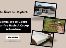Bangalore to Coorg Bonfire Bash: A Group Adventure