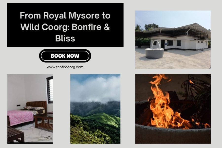From Royal Mysore to Wild Coorg: Bonfire & Bliss