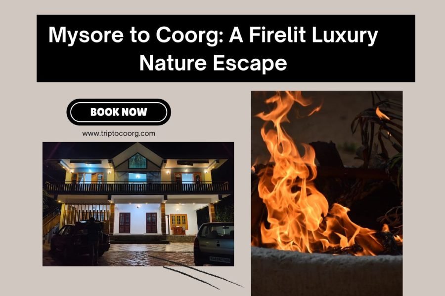 Mysore to Coorg: A Firelit Luxury Nature Escape