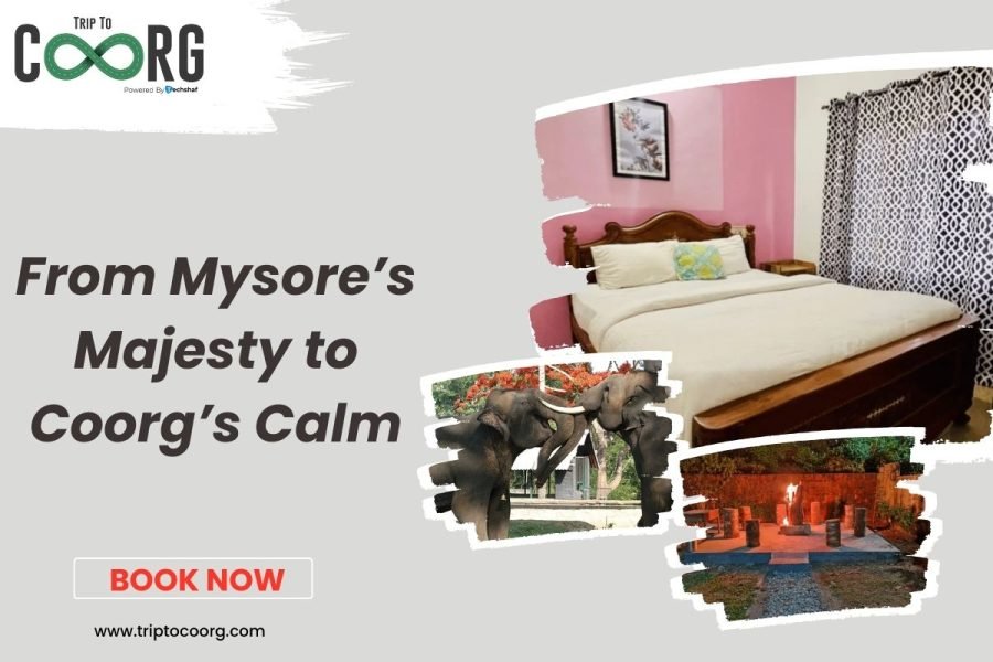 Mystic Trails: Mysore to Coorg with Firelight Nights
