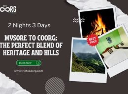 Wilderness Awaits: Mysore to Coorg with Bonfire Bliss