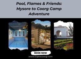 Pool, Flames & Friends: Mysore to Coorg Camp Adventure