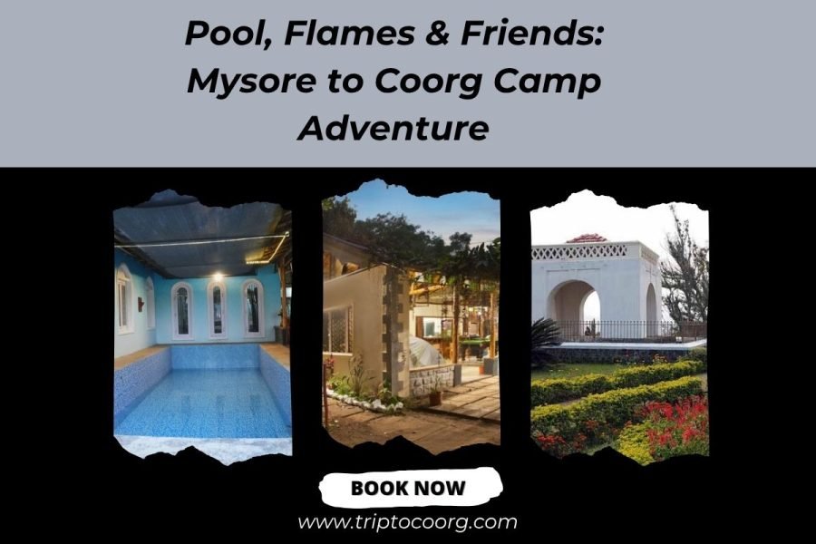 Pool, Flames & Friends: Mysore to Coorg Camp Adventure