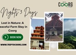 Lost in Nature: A Peaceful Farm Stay in Coorg