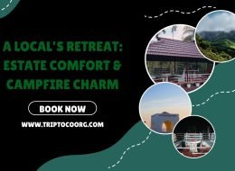 A Local’s Retreat: Estate Comfort & Campfire Charm