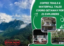 Estate Bliss & Firelight Nights: A Cozy Coorg Break