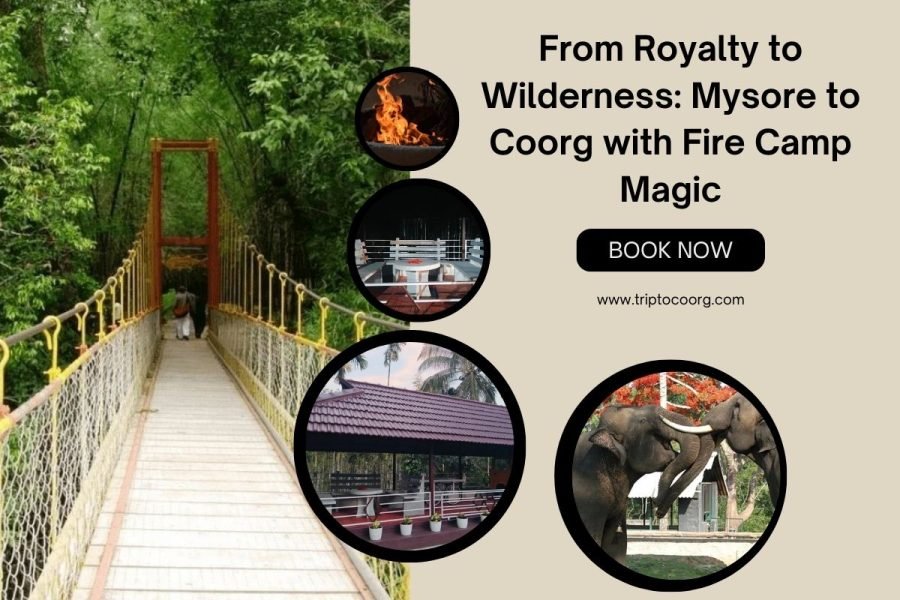 From Royalty to Wilderness: Mysore to Coorg with Fire Camp Magic