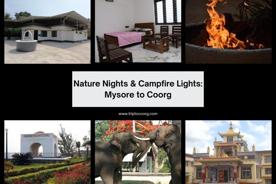 Nature Nights & Campfire Lights: Mysore to Coorg