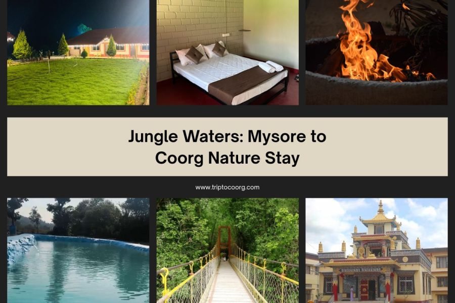 Jungle Waters: Mysore to Coorg Nature Stay