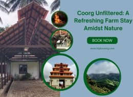 Coorg Unfiltered: A Refreshing Farm Stay Amidst Nature