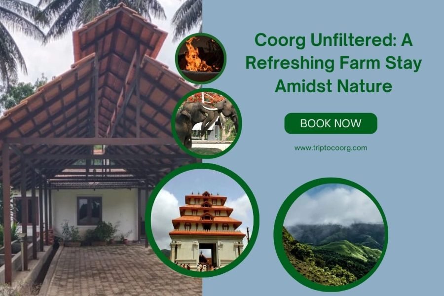 Coorg Unfiltered: A Refreshing Farm Stay Amidst Nature