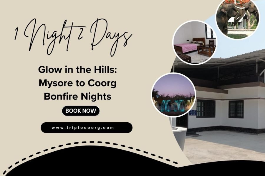 Glow in the Hills: Mysore to Coorg Bonfire Nights