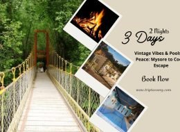 Vintage Vibes & Poolside Peace: Mysore to Coorg Escape