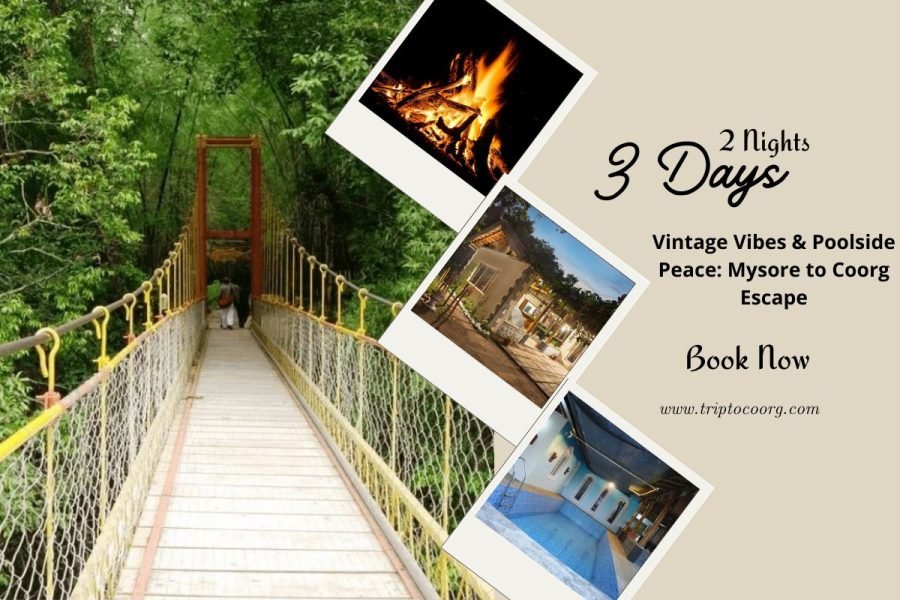 Vintage Vibes & Poolside Peace: Mysore to Coorg Escape