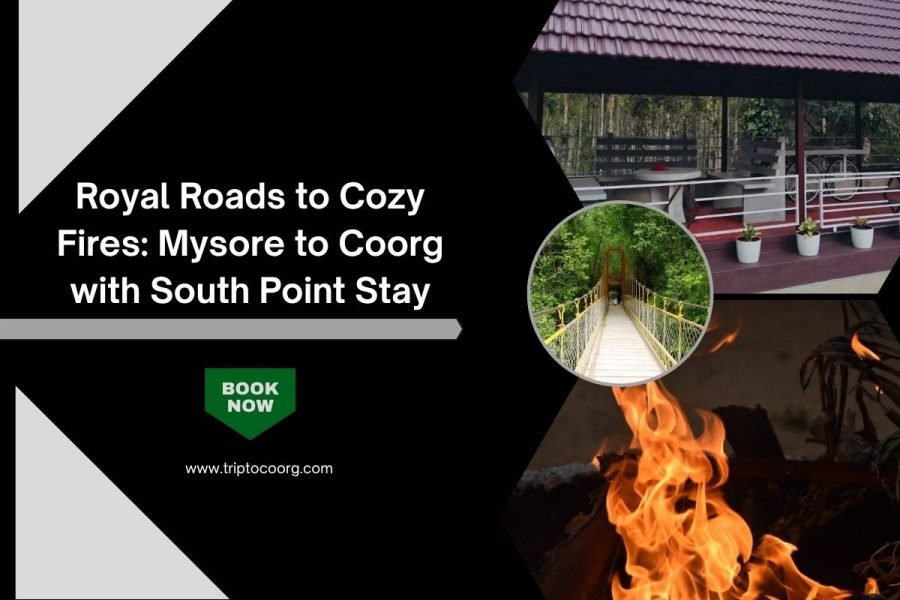 Royal Roads to Cozy Fires: Mysore to Coorg with South Point Stay