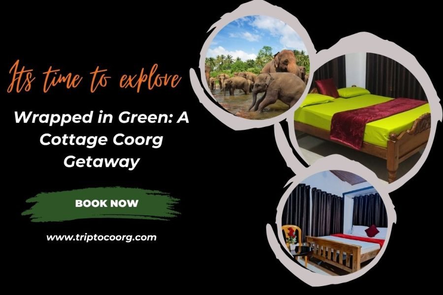 Wrapped in Green: A Cottage Coorg Getaway