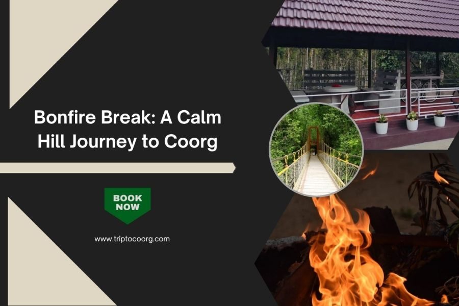 Bonfire Break: A Calm Hill Journey to Coorg