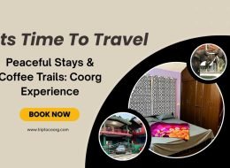 Peaceful Stays & Coffee Trails: Coorg Experience