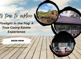 Firelight in the Fog: A True Coorg Estate Experience