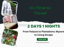Hillbound Heat: Mysore to Coorg Firecamp Getaway