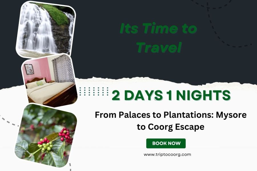 Hillbound Heat: Mysore to Coorg Firecamp Getaway