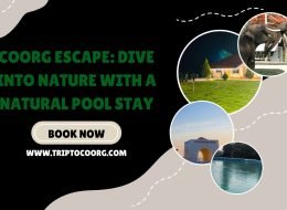 Coorg Escape: Dive into Nature with a Natural Pool Stay
