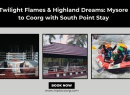 Twilight Flames & Highland Dreams: Mysore to Coorg with South Point Stay
