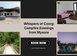 Whispers of Coorg: Campfire Evenings from Mysore