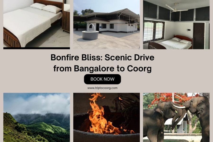 Bonfire Bliss: Scenic Drive from Bangalore to Coorg