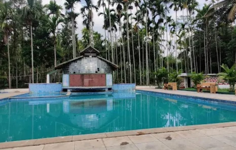 Bird Of Paradise Homestay