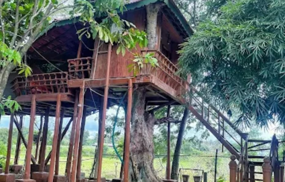 Bird Of Paradise Homestay