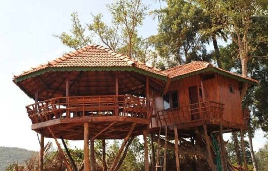 Bird Of Paradise Homestay
